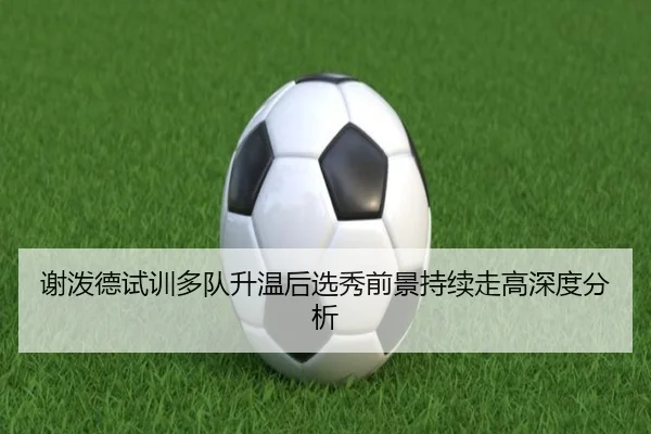 谢泼德试训多队升温后选秀前景持续走高深度分析